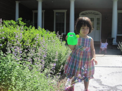 Picture 063.jpg