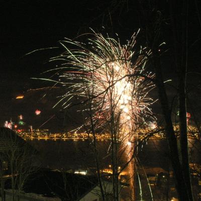 Nyttr 2006 C.jpg