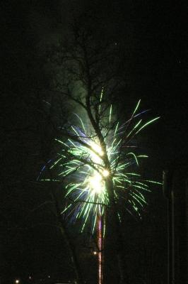 Nyttr 2006 F.jpg