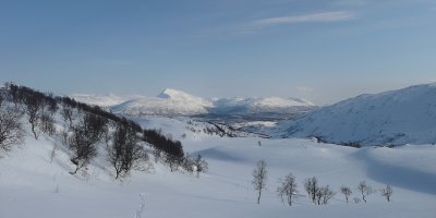 I Finnvikdalen.jpg