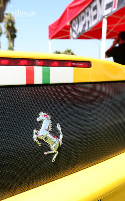 IMG_9375 copy.jpg