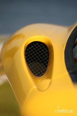 IMG_9830 copy.jpg