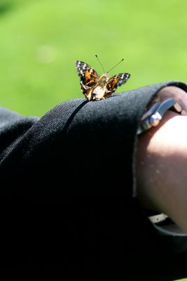 IMG_9933.jpg