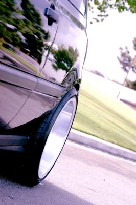 IMG_3795e.jpg