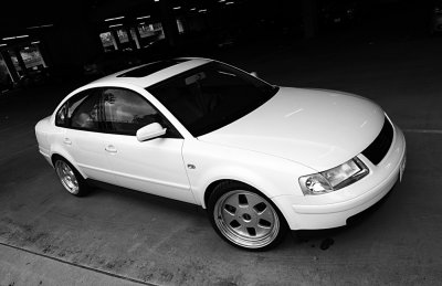 IMG_8584es.jpg