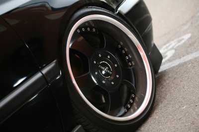 IMG_0540s.jpg