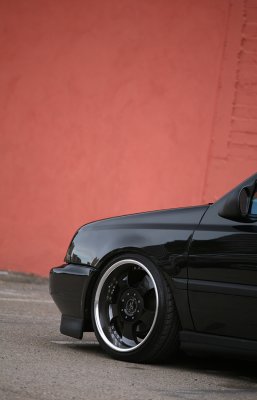 IMG_0517cs.jpg