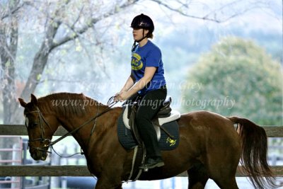 MCLA Equestrian Club