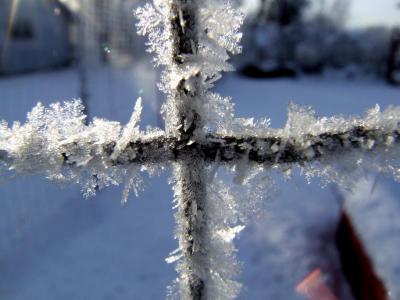 Early Morning Frost