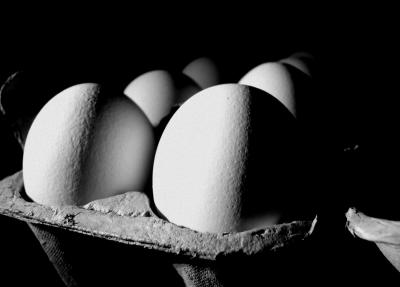 Shadowed Eggs