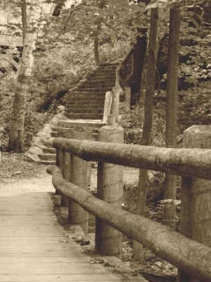 Leading to the stone steps Sepia