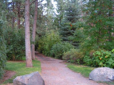 A wooded path