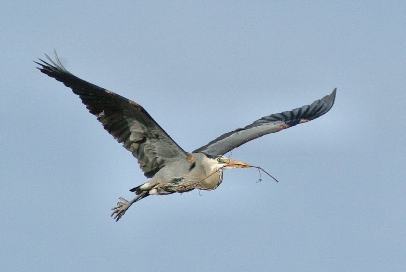 Image6.jpg