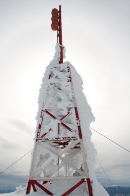 20100313-IMG_3401.jpg