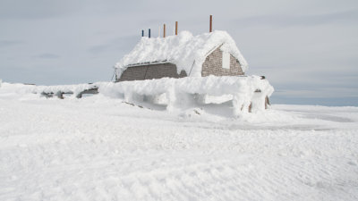 20100313-IMG_3403.jpg