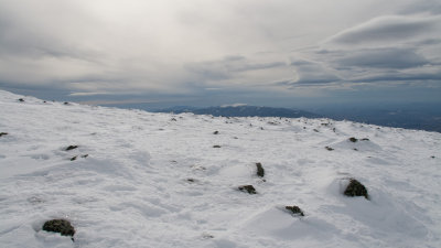20100313-IMG_3429.jpg