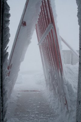 20100314-IMG_3503.jpg