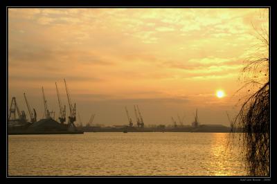 Haven Rotterdam