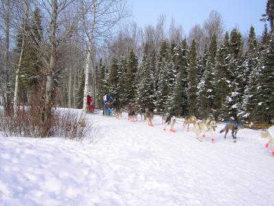 Iditarod 2006.JPG