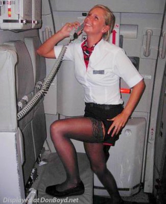British Airways flight attendant