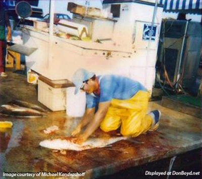 1987 - Michael Kandrashoff cleaning amberjack on the Watson Island docks