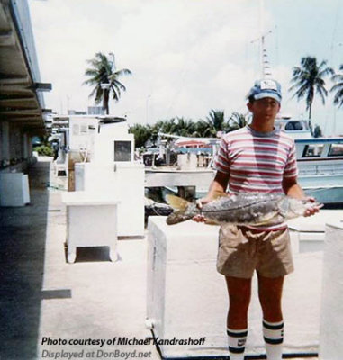 1982 - Michael Kandrashoff with a large snook at Watson Island when there were fishing boats (comments below)