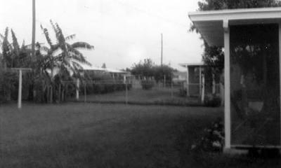 Early 1960s - backyard of my home in Hialeah from 1957 to 1966