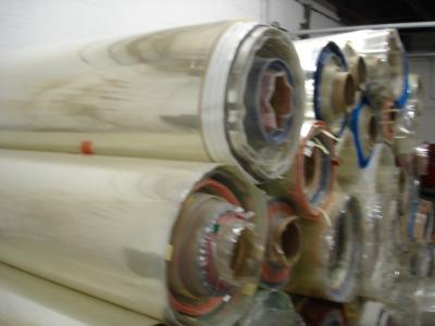 polyester rolls