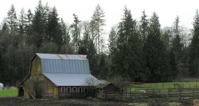 Stanwood barn