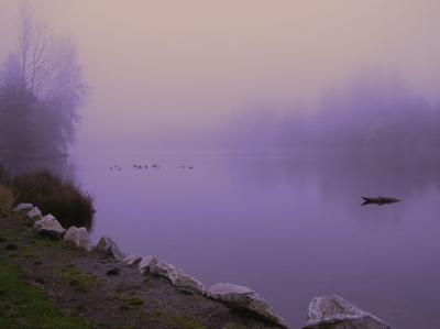 Echo Lake, Shoreline WA