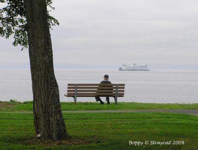 Old man & the sea