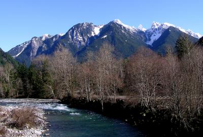 Index Bridge