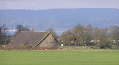 Barn-North Snohomish county