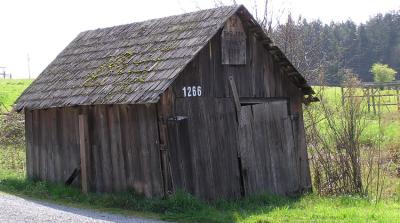 Old shed-Camano Island