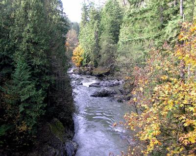 Looking Downriver