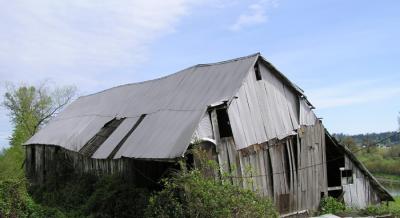 Duvall Barn #5