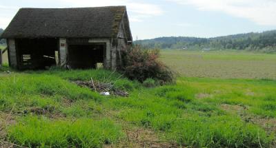Old Shack