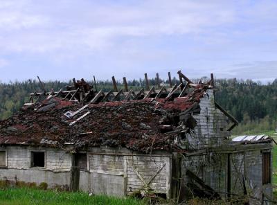 Roof Repair