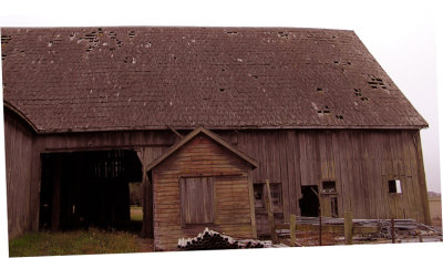 Skagit County Barn