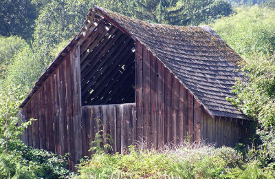 Tulalip Barn