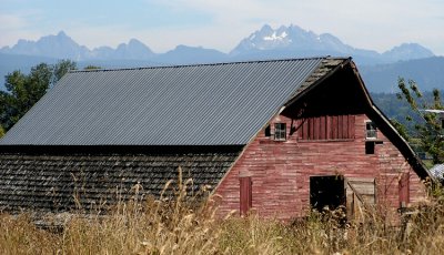 Tulalip Barn