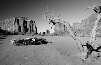 Monument Valley