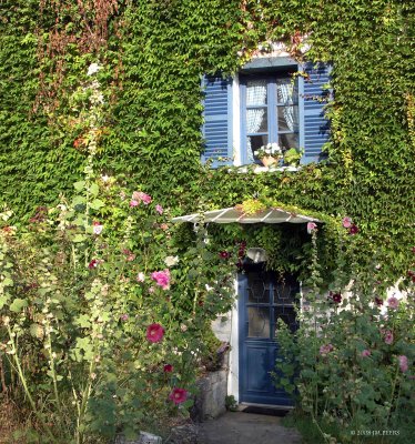 Angle Dme/Monet