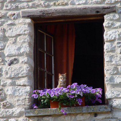Chez Jean-Pierre