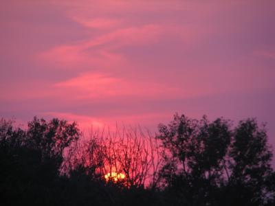 g3/21/616021/3/52828493.pinksunset.jpg