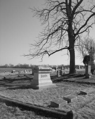 g3/21/616021/3/56548557.9.jpg