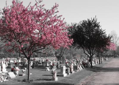 april_19_2006