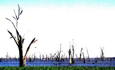 Yarrawonga 2001.jpg