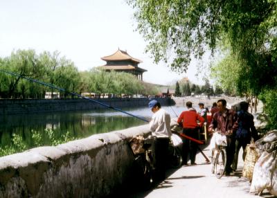 Peking 1995