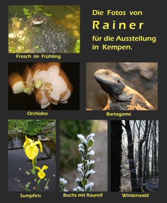 Das sind die Fotos von Rainer